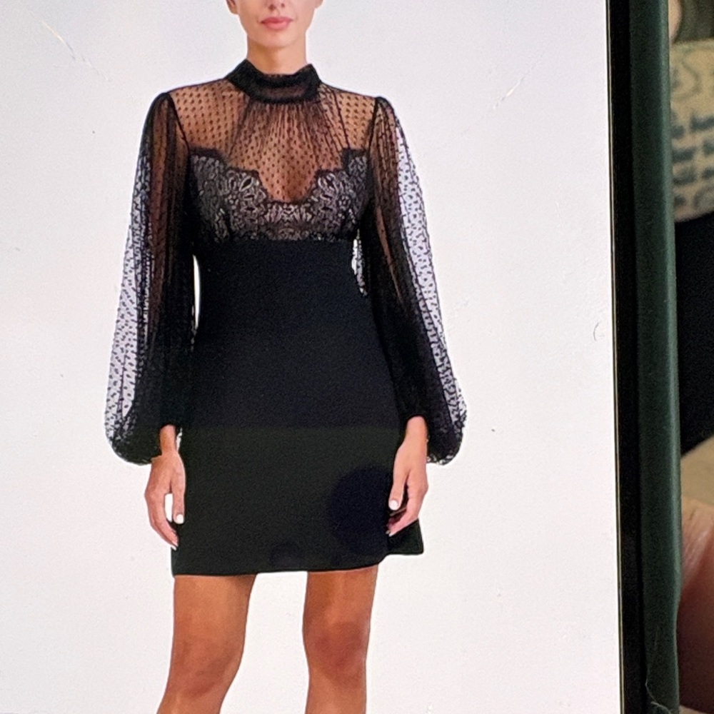 BCBGMaxAzria Black Sheer Lace Yoke Mini Dress